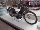 MusÃ©e SINSHEIM