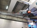 MusÃ©e SINSHEIM