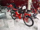 MusÃ©e SINSHEIM