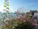 Sortie Ã  Morges