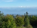 Sortie Ã  Morges