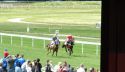 Sortie hippodrome