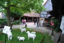 Visite Musée du Chemin de Fer à Mulhouse