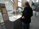 Visite du musée Unimog à Gaggenau - Allemagne
